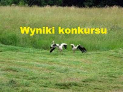 Wyniki Midzyszkolnego Konkursu Przyrodniczego FLORA I FAUNA LUBELSZCZYZNY