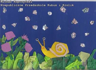 Wyniki konkursu  
