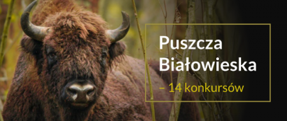 Poznaj Puszcz Biaowiesk
