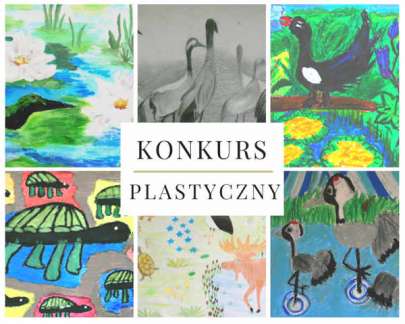 KONKURS PLASTYCZNY-POLESKICH TORFOWISK CZAR