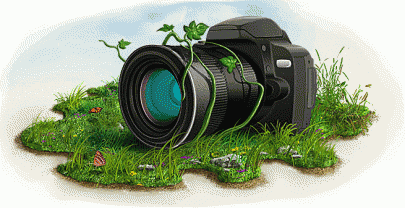 Wyniki III Oglnopolskiego Konkursu Fotograficzno  Literackiego Zamknij w kadrze, opowiedz pirem