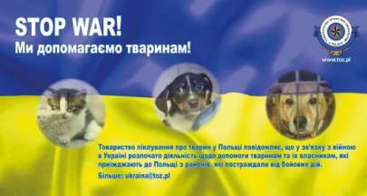 UWAGA! Zbirka karmy dla bezdomnych zwierzt wUkrainie