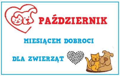 I Ty moesz pomc - zbirka karmy dla zwierzt
